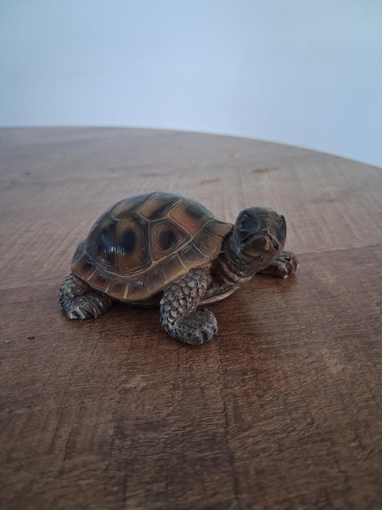 Schildpad beeldje - Decoratief en gedetailleerd, Verzamelen, Dierenverzamelingen, Ophalen of Verzenden
