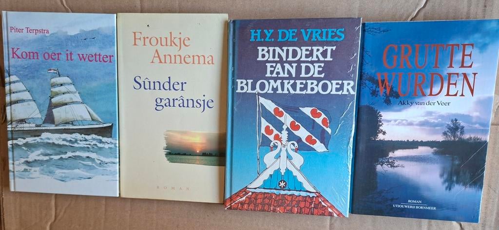 Friese boeken, Ophalen of Verzenden, Zo goed als nieuw