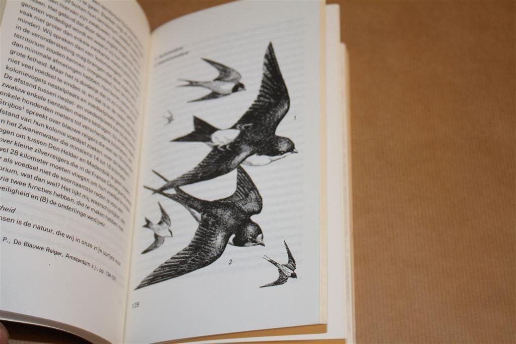Vogels leren kennen. Hugh P. Gallacher., Ophalen of Verzenden, Gelezen, Vogels
