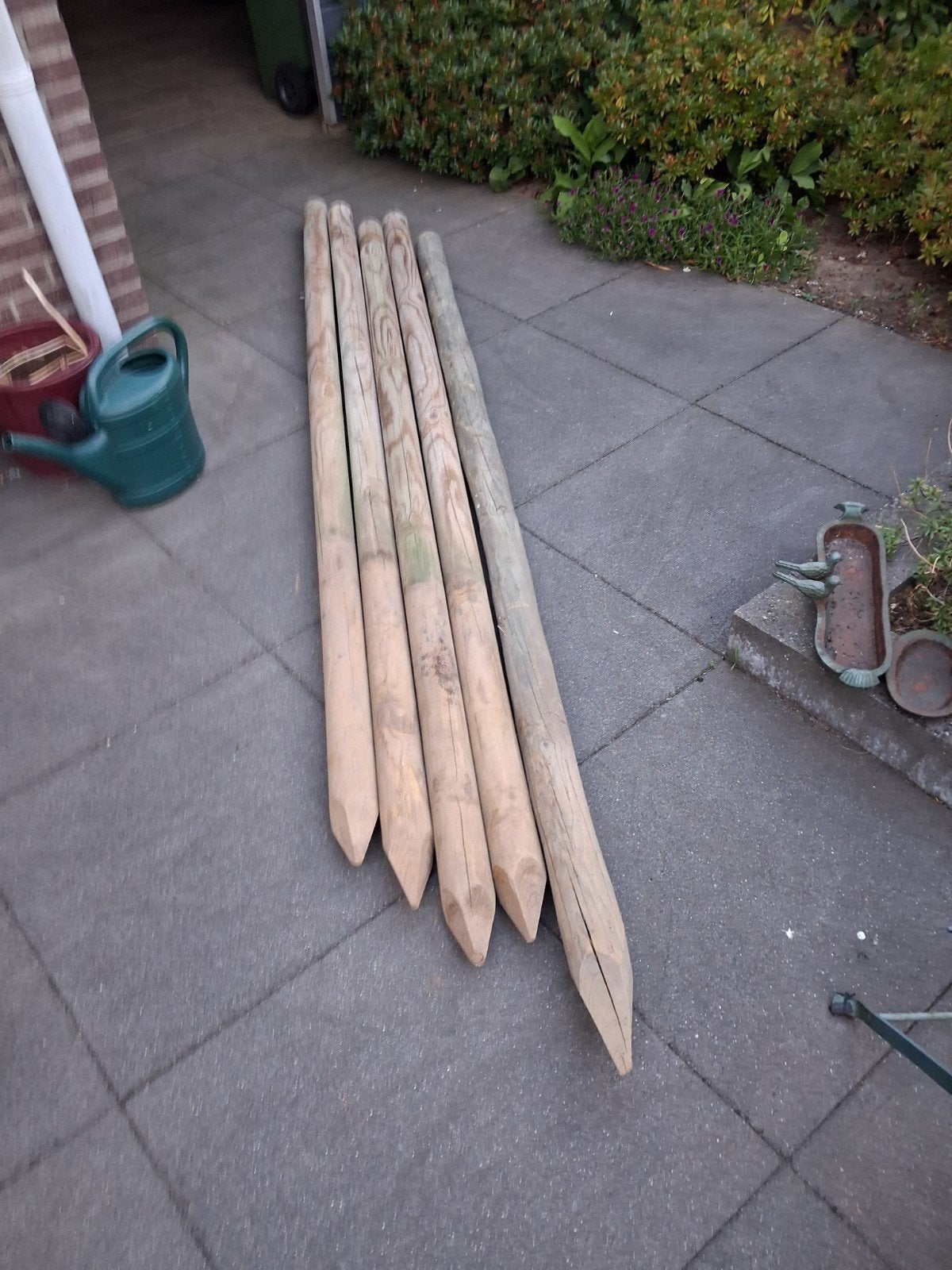5 geïmpregneerde boompalen met punt, rond 8 cm x 253 cm, Ophalen, Nieuw, 250 cm of meer, Palen