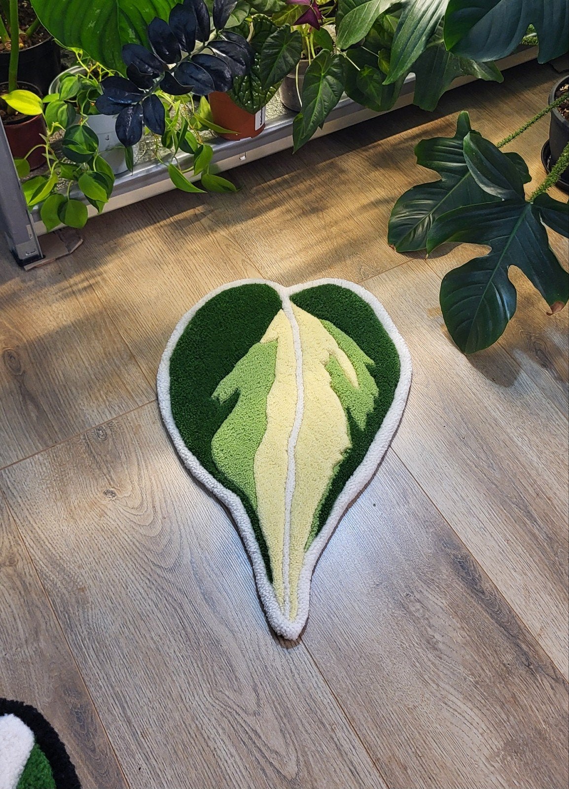 Philodendron cream splash, handgemaakt rug, New Zealand wol, Ophalen of Verzenden, Nieuw