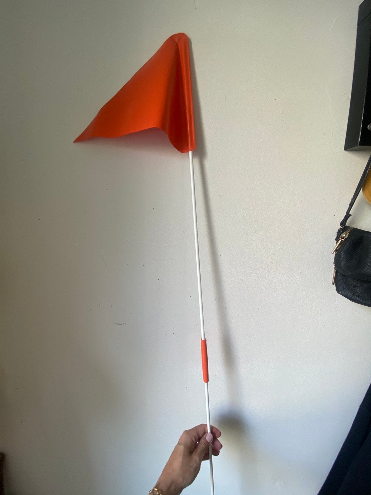 Fiets vlaggetje kind, Ophalen, Zo goed als nieuw, Minder dan 16 inch