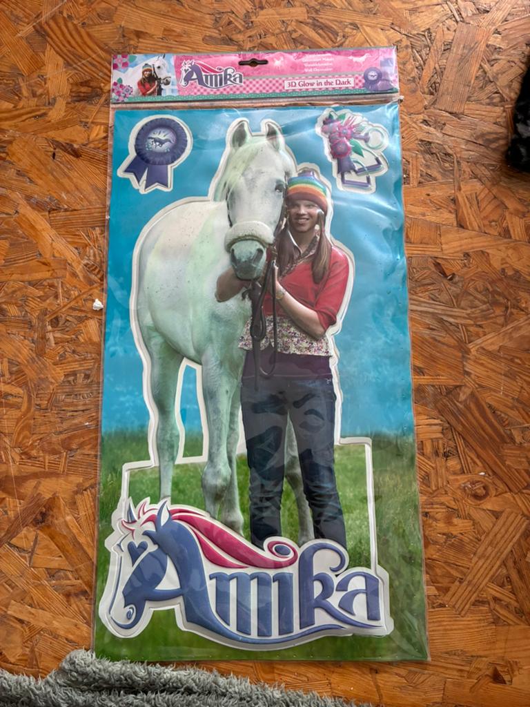 Amika wanddecoratie, Ophalen, Nieuw