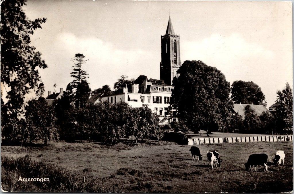 Amerongen - 12 oude ansichtkaarten, Ophalen of Verzenden, 1940 tot 1960, Gelopen, Utrecht