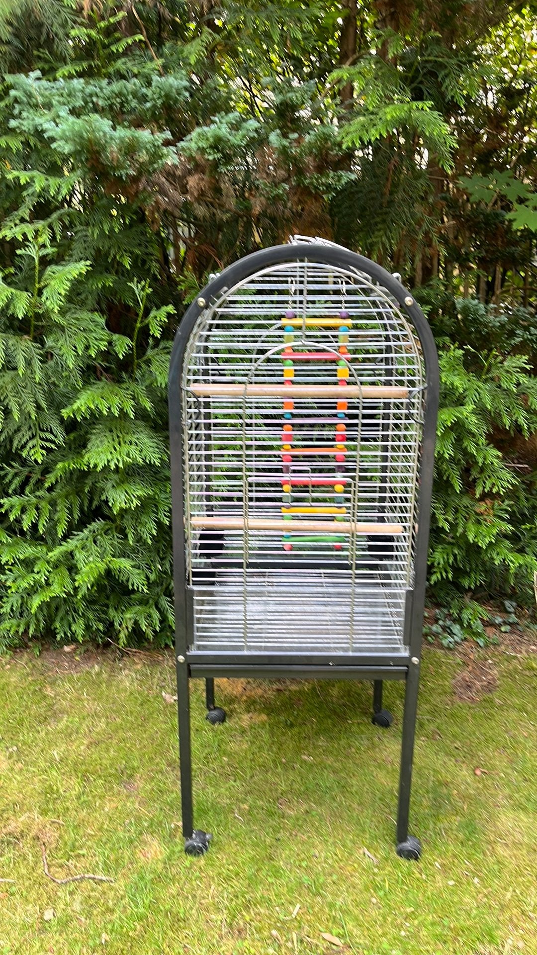 Parkieten papagaaien kooi, Dieren en Toebehoren, Ophalen of Verzenden, Zo goed als nieuw, Metaal, Vogelkooi