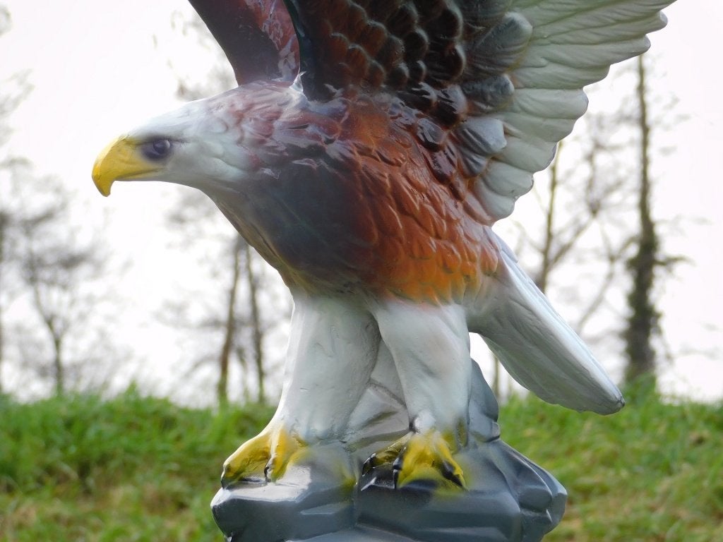 Beeld Adelaar in Kleur - 60 cm - Polystone, Ophalen, 60 cm, Beeld, Kunststof