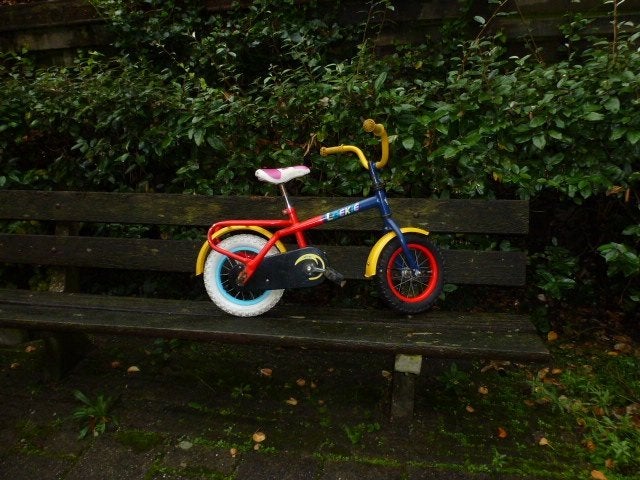 12 inch., Fietsen en Brommers, Ophalen, Gebruikt, Terugtraprem, Minder dan 16 inch