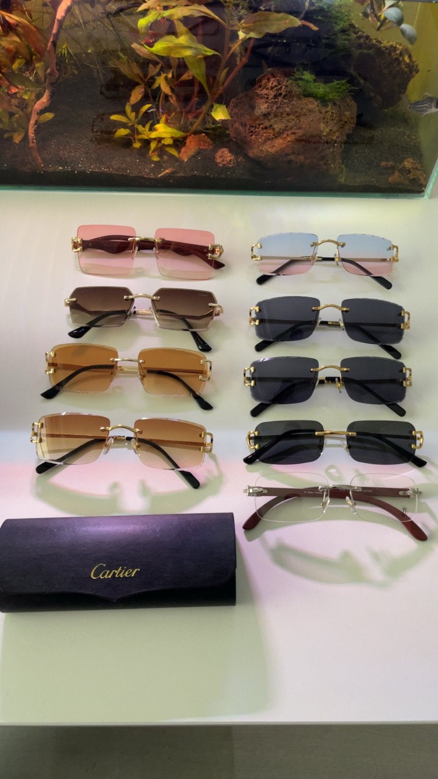 Cartier brillen - Gloednieuw - Per stuk of 2 voor 50, Zonnebril, Zwart, Nieuw, Ophalen