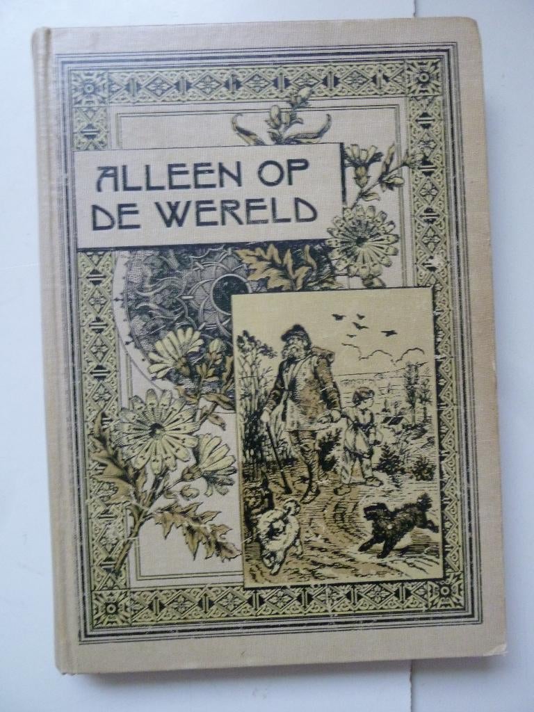 Hector Malot Alleen op de Wereld fraai geïllustreerd, Boeken, Gelezen, Europa overig, Verzenden, Hector Malot