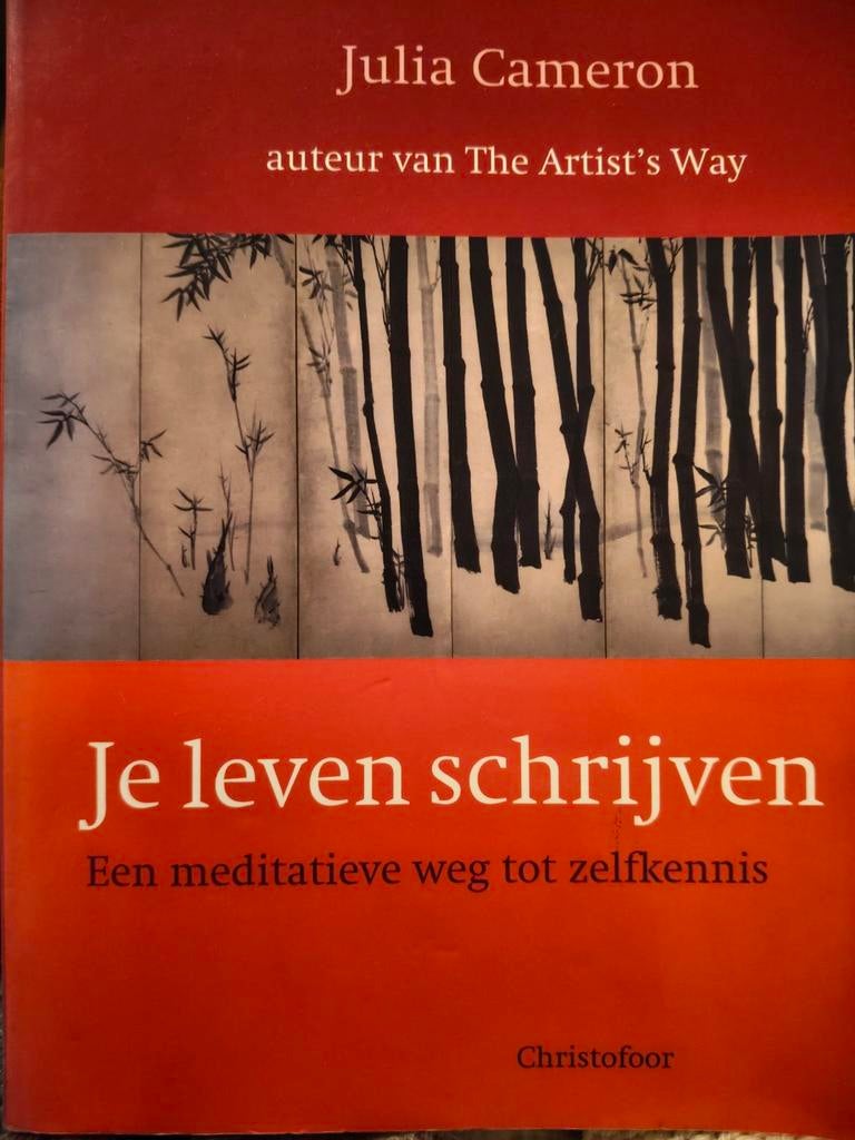 Julia Cameron - Je leven schrijven, Boeken, Ophalen of Verzenden, Zo goed als nieuw, J. Cameron