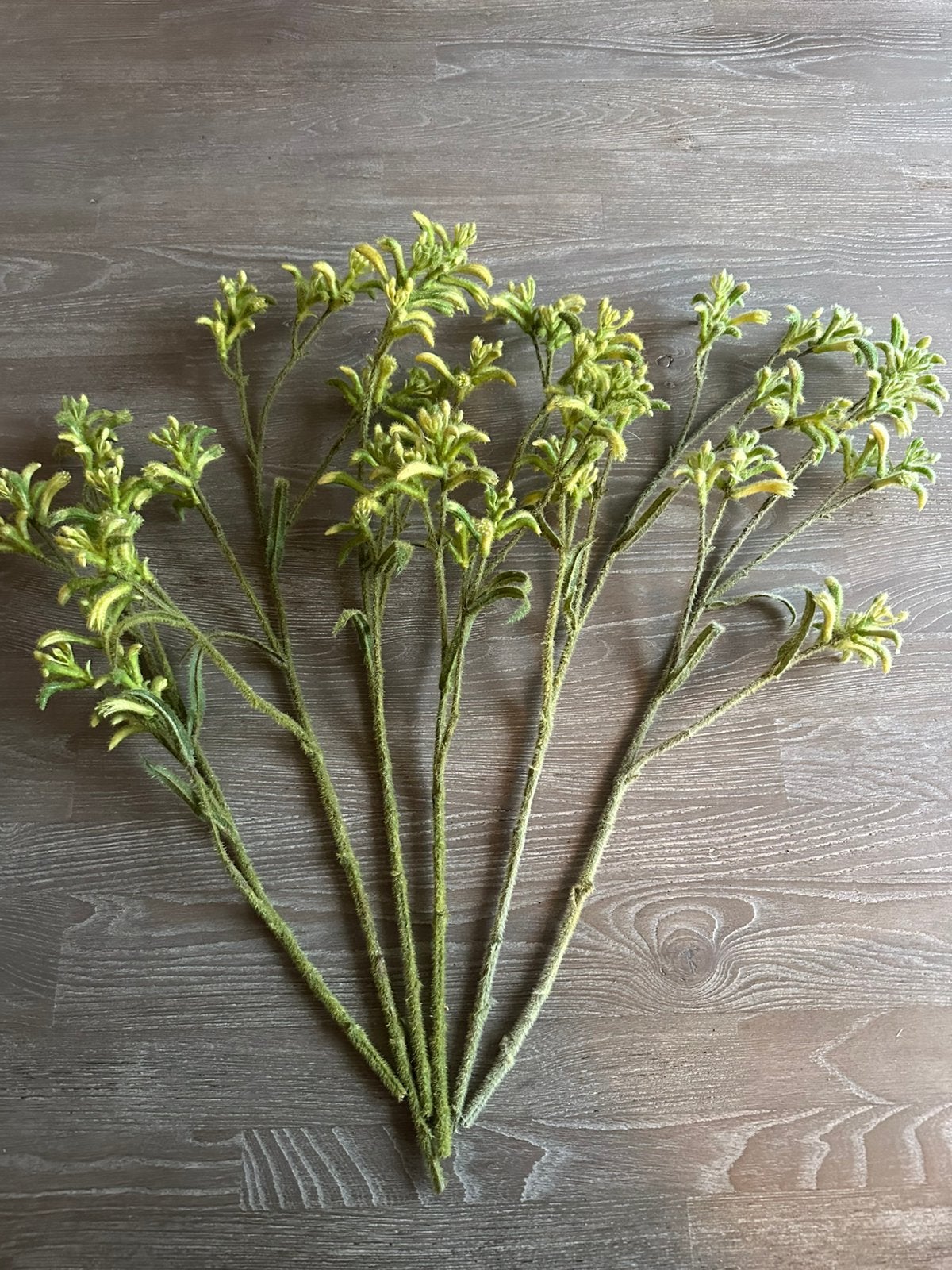 Kunstbloemen, Ophalen, Zo goed als nieuw, Groen
