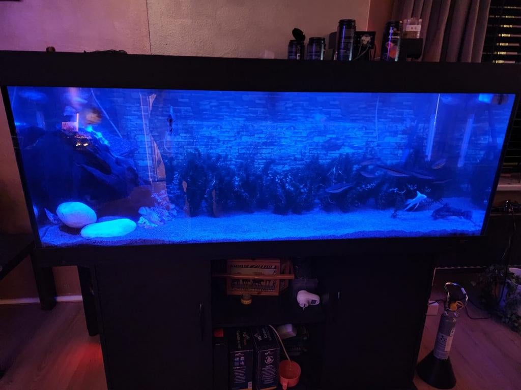 Eheim filters en meer, Ophalen, Gebruikt, Leeg aquarium