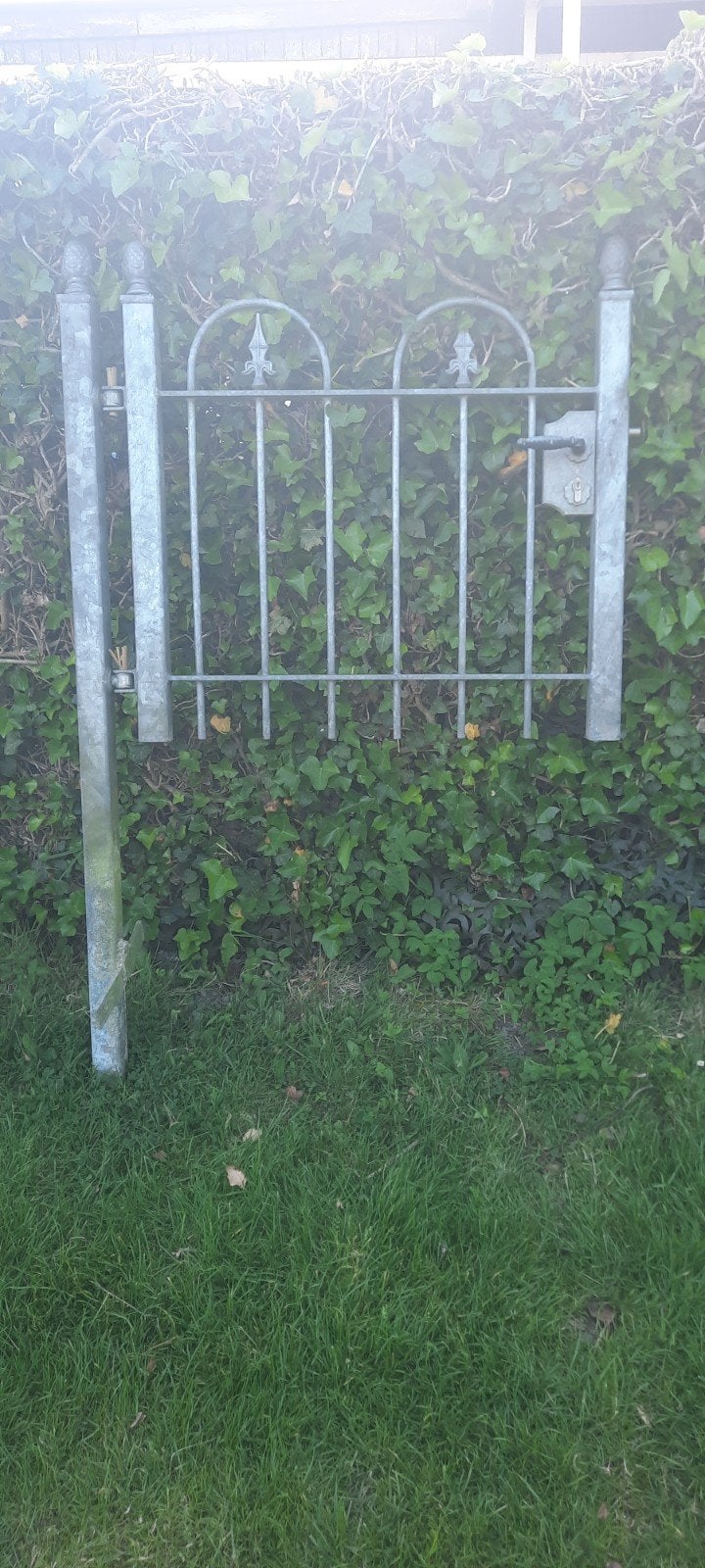 Metalen tuinpoortje met sierlijke details, Ophalen, Met poort, Gebruikt, Tuinhek