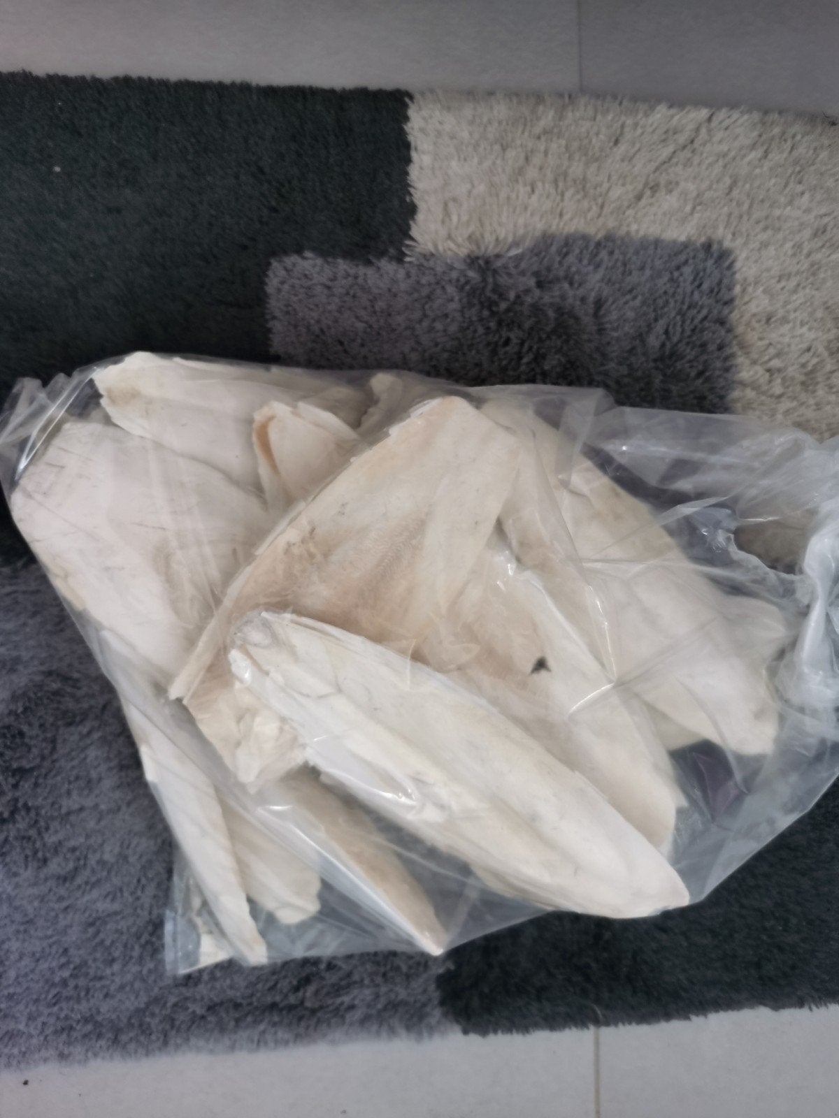 2 kilo sepia grote blokken, Meerdere dieren