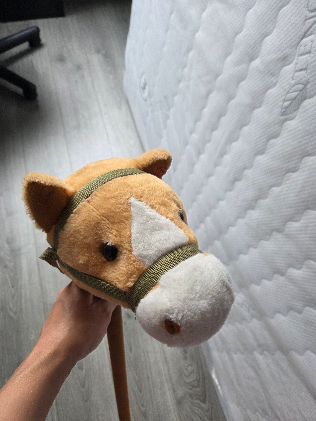 stokpaardje met paardenhoofd, Ophalen, Jongen of Meisje