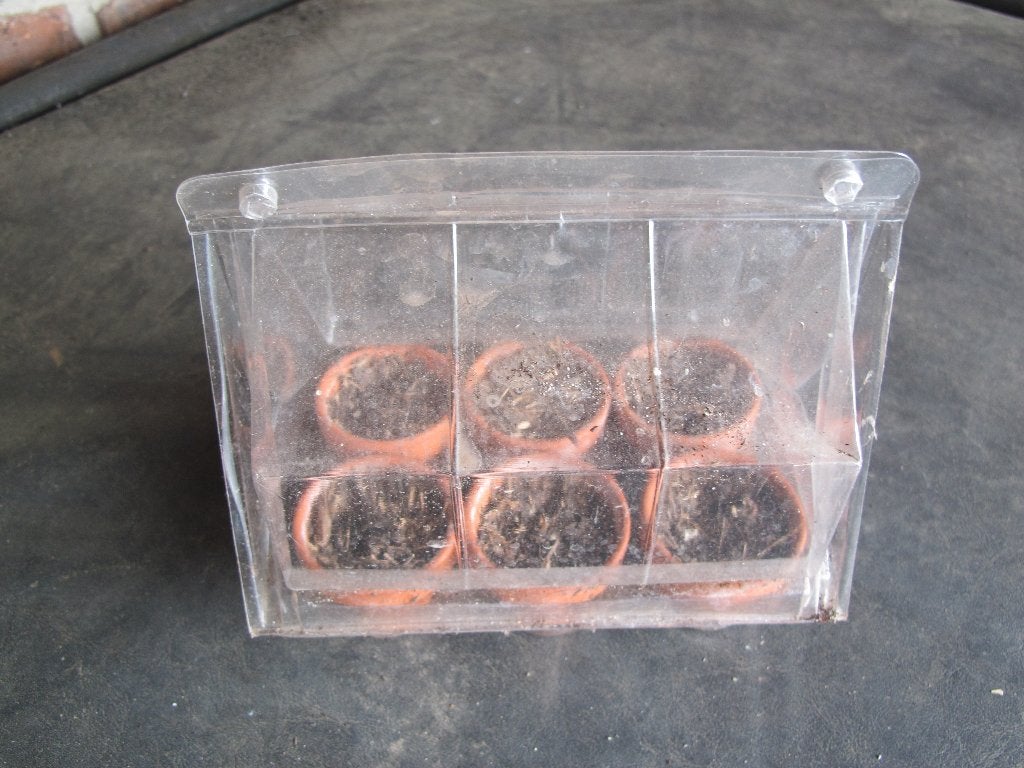 setje kleine kweekpotjes in een mini kasje, Steen, Gebruikt, Minder dan 30 cm, Minder dan 60 cm