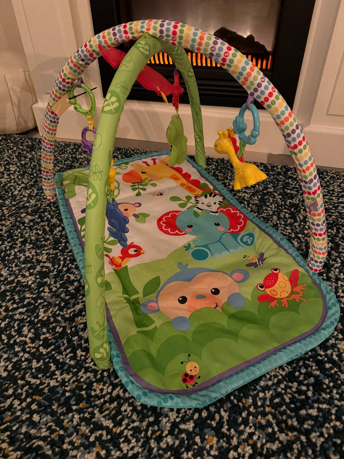 Fisher Price Babygym & Activiteiten Center, Kinderen en Baby's, Speelgoed | Fisher-Price, Ophalen of Verzenden, Zo goed als nieuw