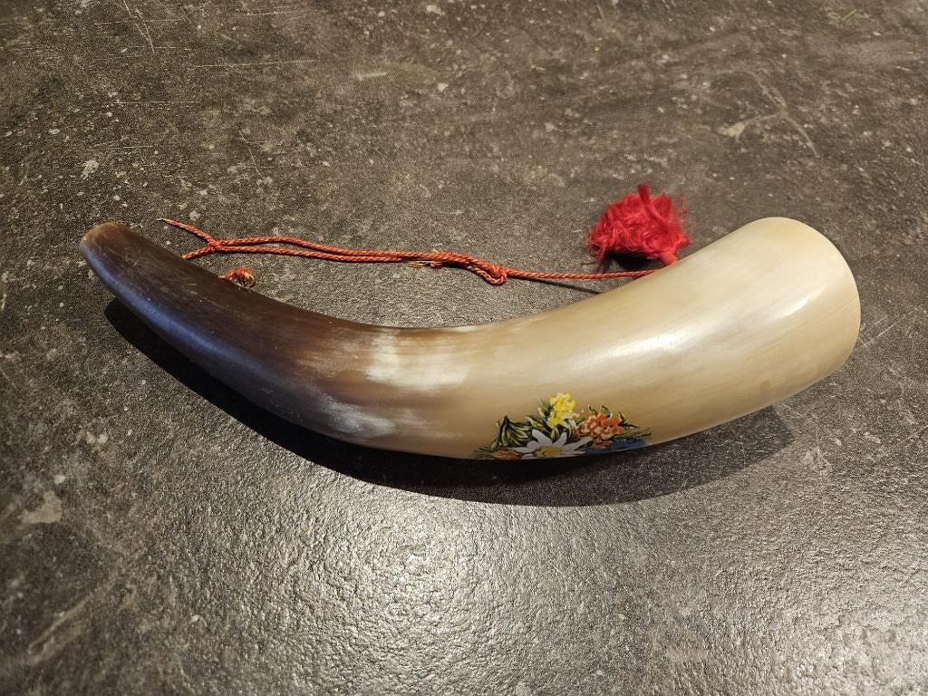 Koe hoorn met toeter, Ophalen of Verzenden