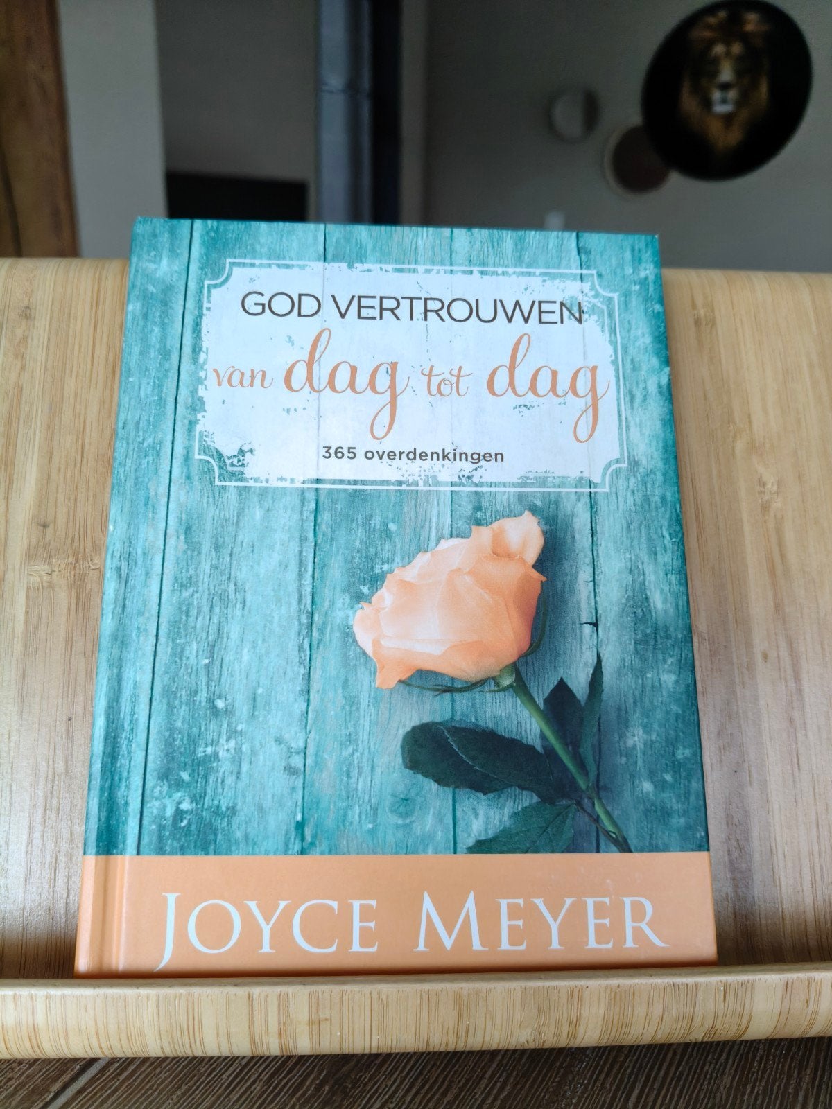 God Vertrouwen van Dag tot Dag - Joyce Meyer (Hardcover), Ophalen of Verzenden, Zo goed als nieuw, Joyce Meyer