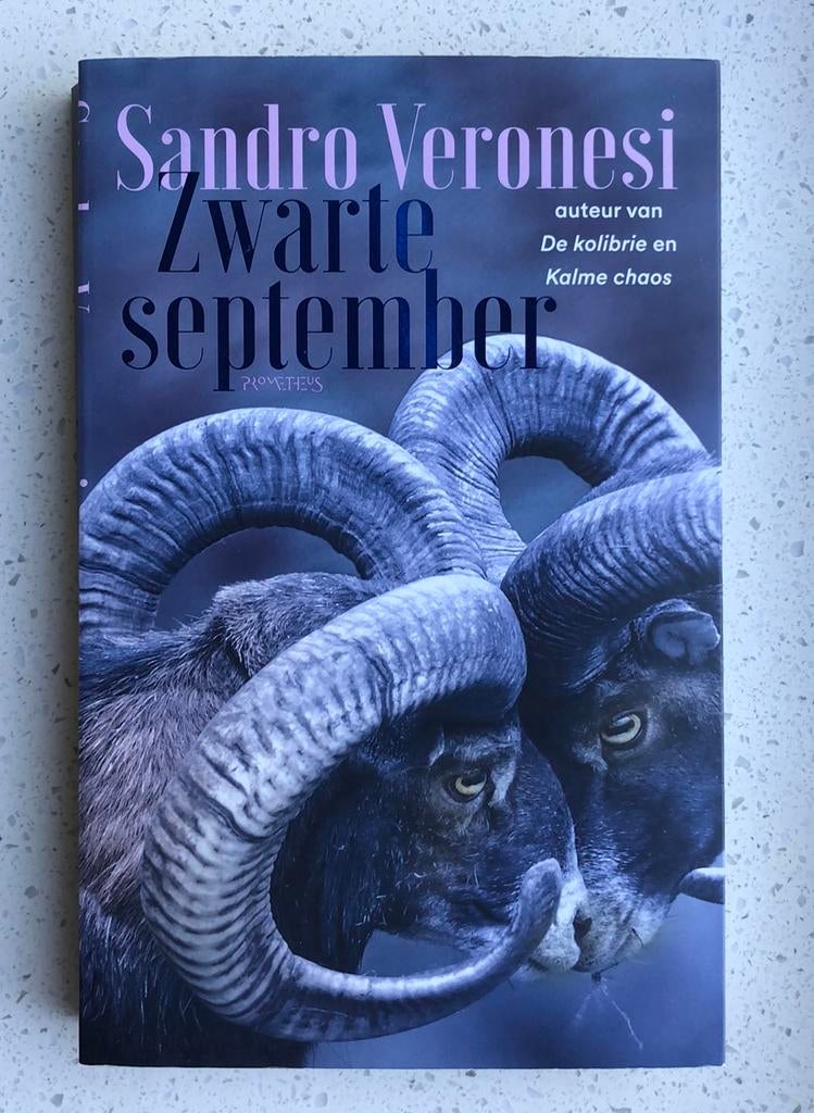 Sandro Veronesi - Zwarte september, Ophalen of Verzenden, Zo goed als nieuw, Sandro Veronesi