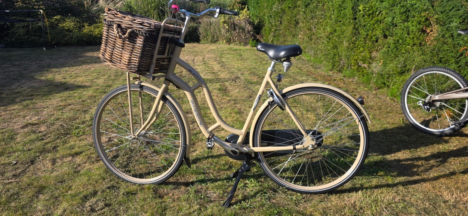 Damesfiets met mand - Zo goed als nieuw, Fietsen en Brommers, Overige merken, Velgrem, Ophalen of Verzenden, Zo goed als nieuw
