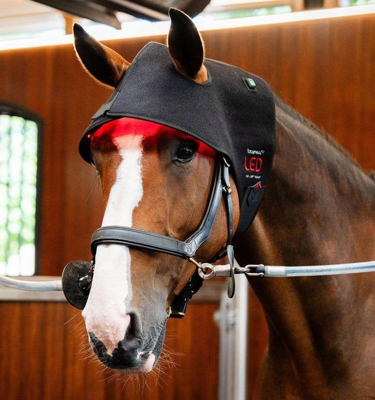 Horseware LED Red Light Therapy Poll Cap, infrarood, Ophalen of Verzenden, Nieuw, Overige typen