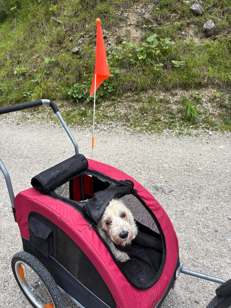 Trixie Fiets en wandelkar hond, Ophalen, Gebruikt