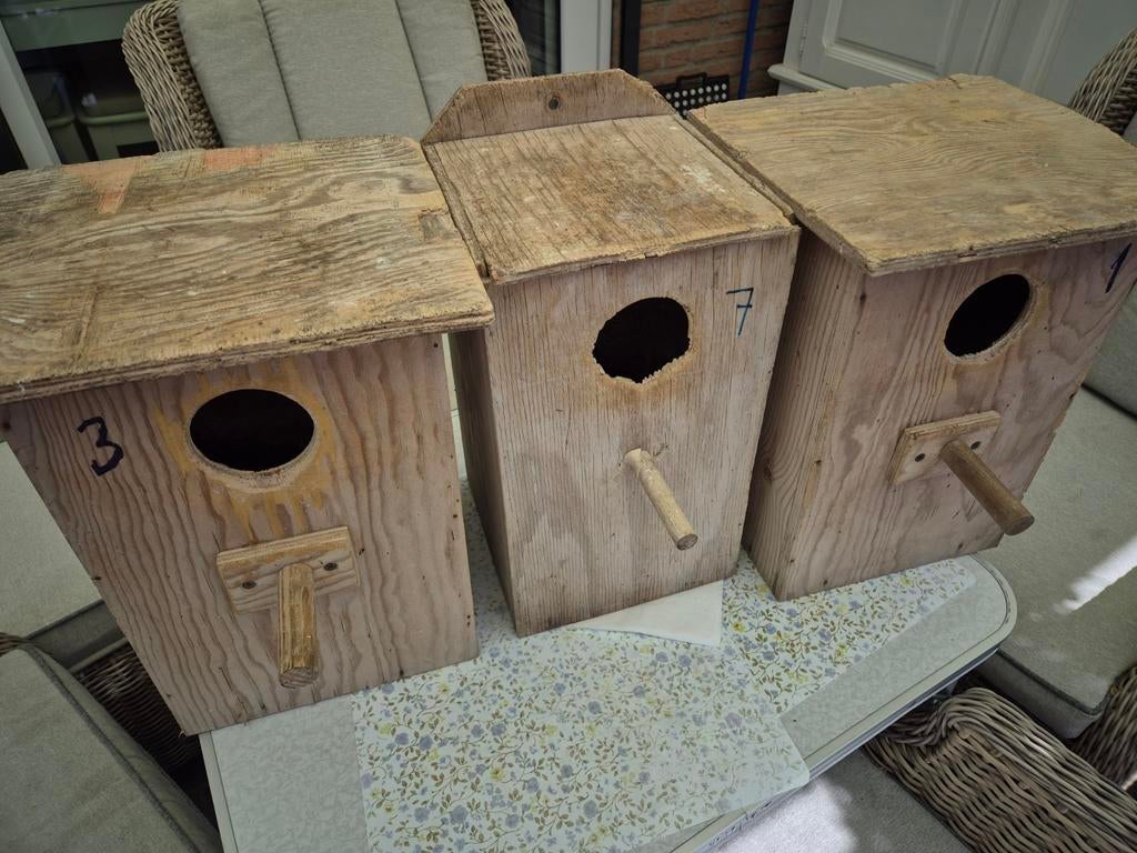 Broedblokken, Ophalen, Gebruikt, Hout, Broedkooi of Kweekkooi