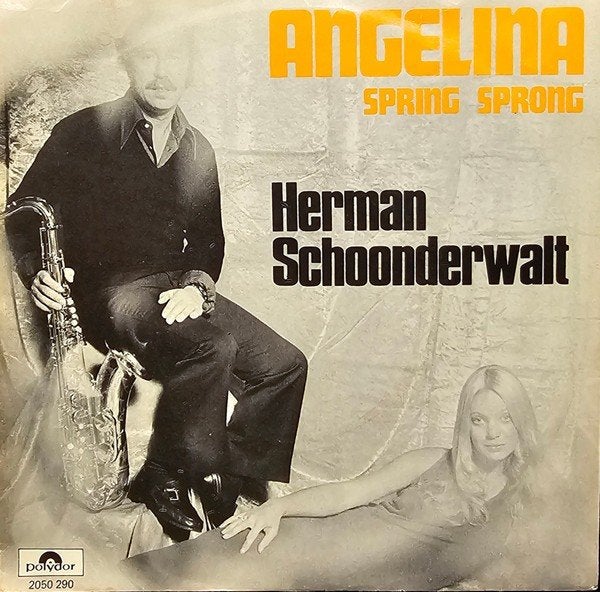 Folk Single (1973) Herman Schoonderwalt - Angelina, Gebruikt, 7 inch, Ophalen of Verzenden, Fotohoes