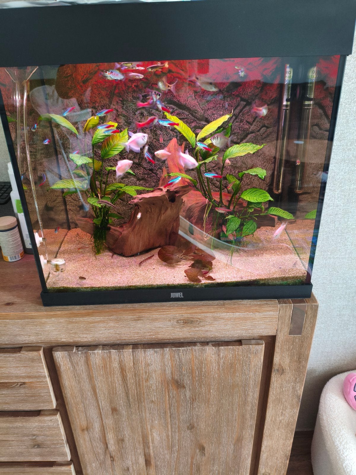 Moet met spoed weg!! Juwel Lido 120 compleet Co2 en filter., Dieren en Toebehoren, Ophalen