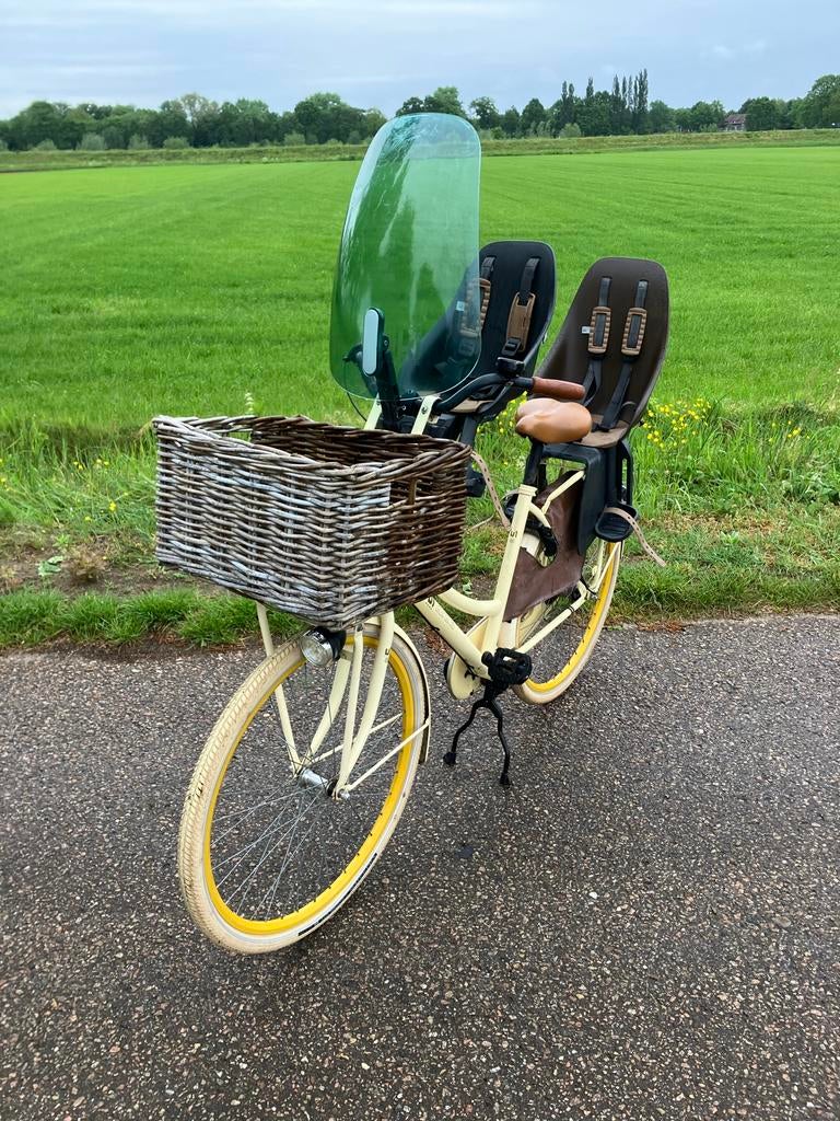 Transportfiets met kinderzitjes en mand, Velgrem, Versnellingen, Ophalen, Overige merken