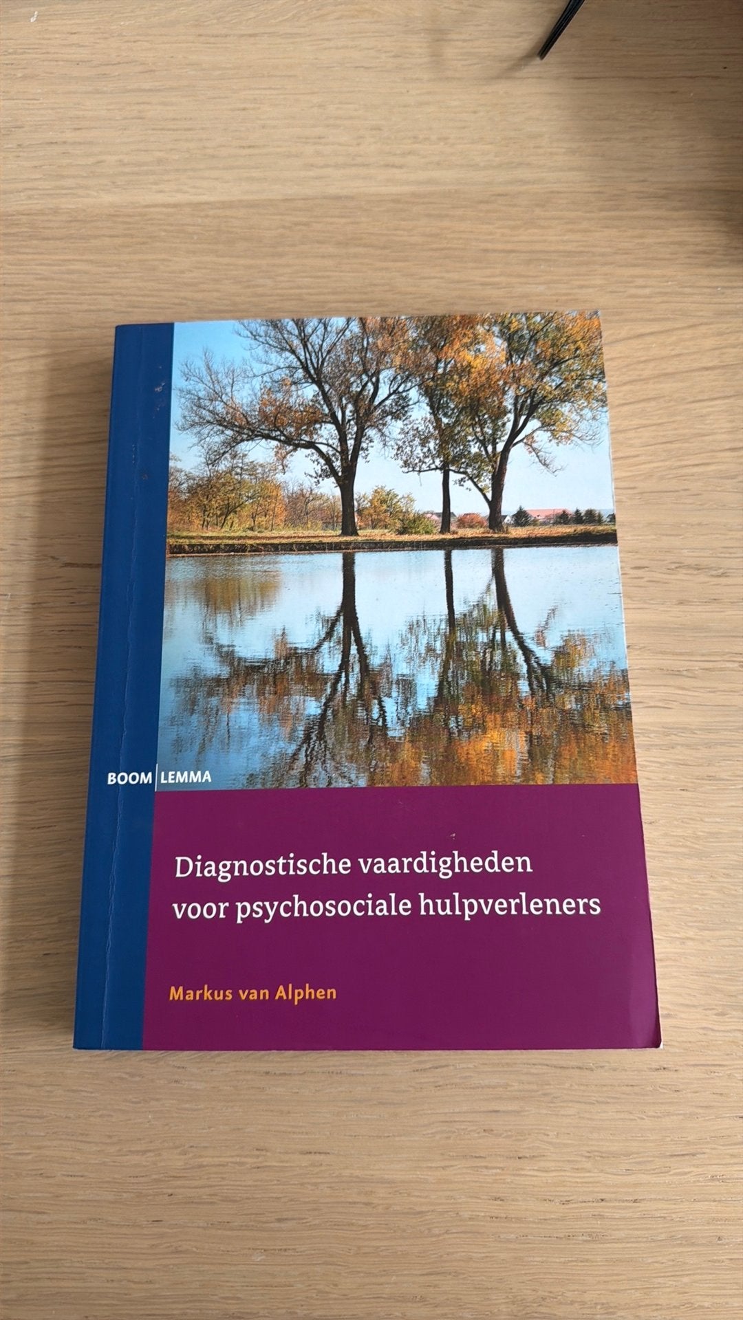 Diagnostische vaardigheden voor psychosociale hulpverleners, Boeken, Markus van Alphen, Ophalen of Verzenden, Ontwikkelingspsychologie