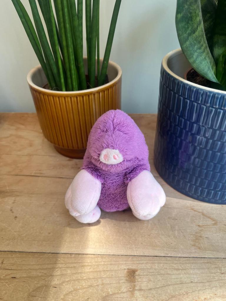 Molletje van woezel en pip, Ophalen of Verzenden, Zo goed als nieuw, Hond
