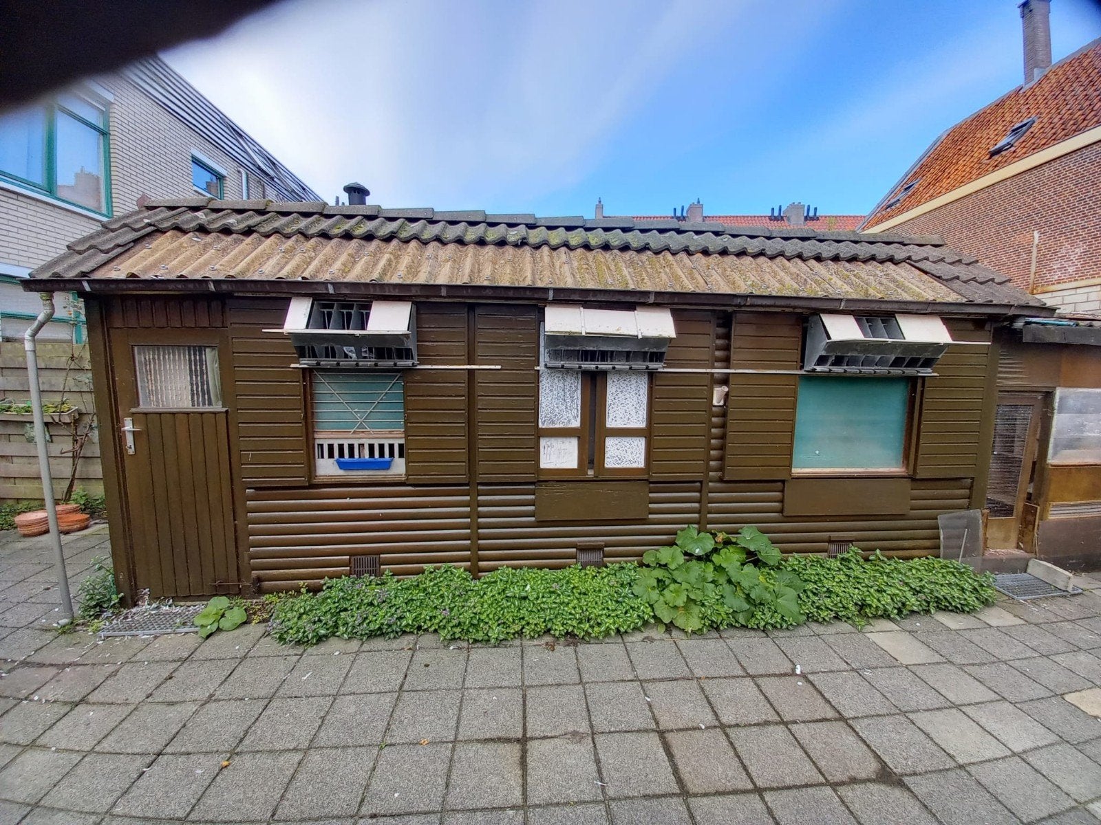 duivenhok gratis af te halen, Meerdere dieren, Postduif