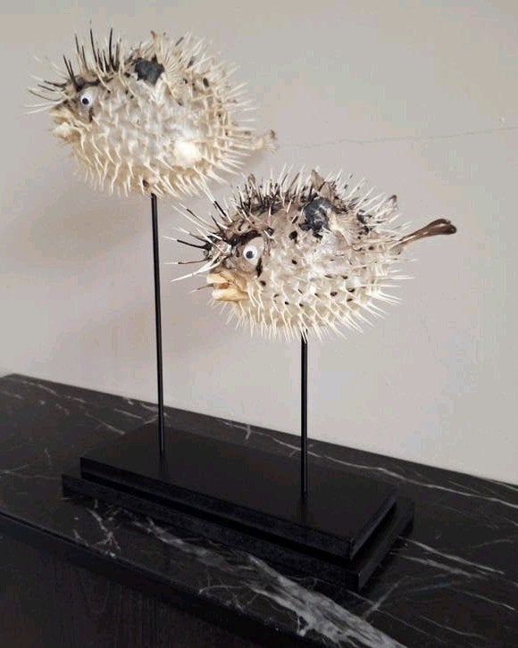 Puffervissen blowfish set van 2 op een voet vakkenkast chiqu, Huis en Inrichting, Woonaccessoires | Overige, Nieuw, Ophalen of Verzenden