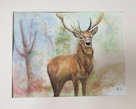 Aquarel Hert, Realistisch, Dieren, Ophalen of Verzenden, Aquarel