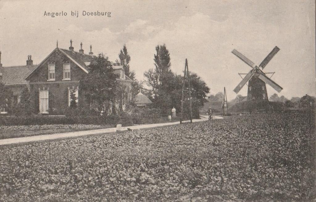 Angerlo bij Doesburg. Gemeente Zevenaar. MOLEN, Verzamelen, Verzenden, Ongelopen, Gelderland