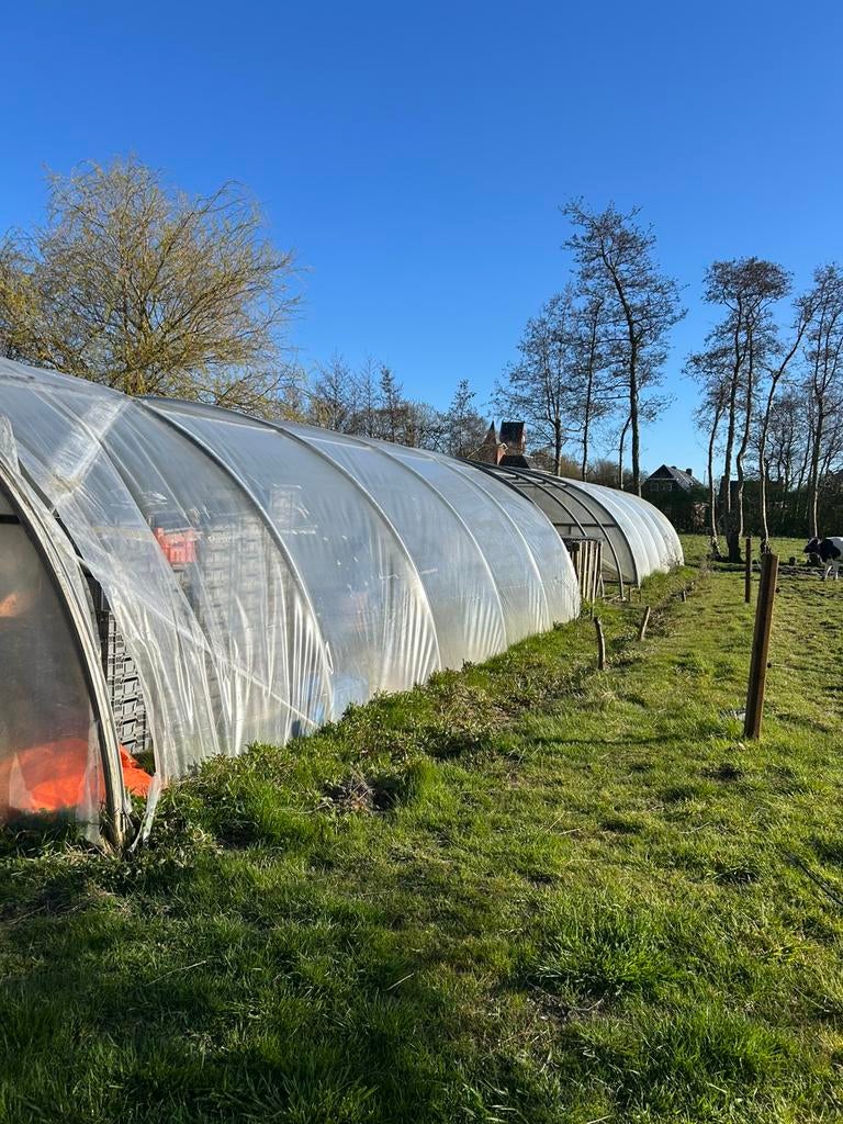 Professionele tunnelkas, Tuin en Terras, Ophalen, Glas, Zo goed als nieuw, Staal