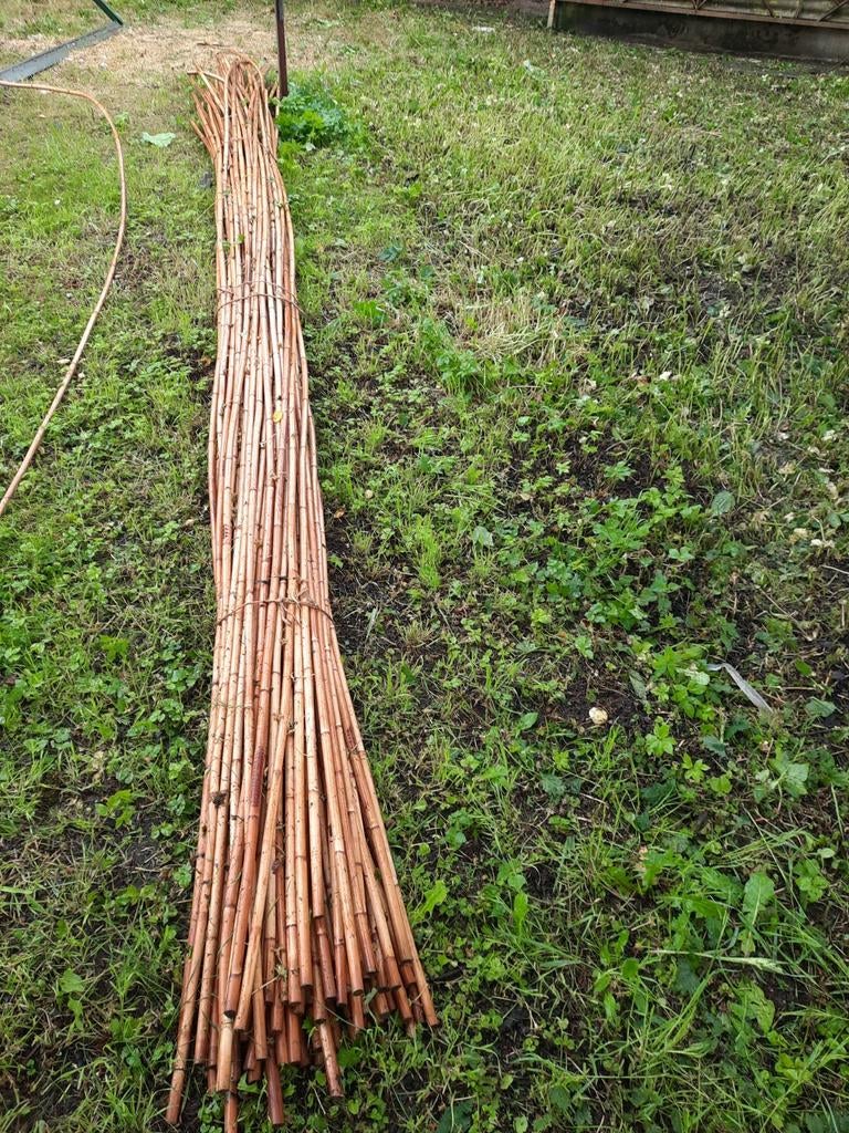 Rotan stokken te koop. Rond de 3 m lengte., Ophalen, Kweektent