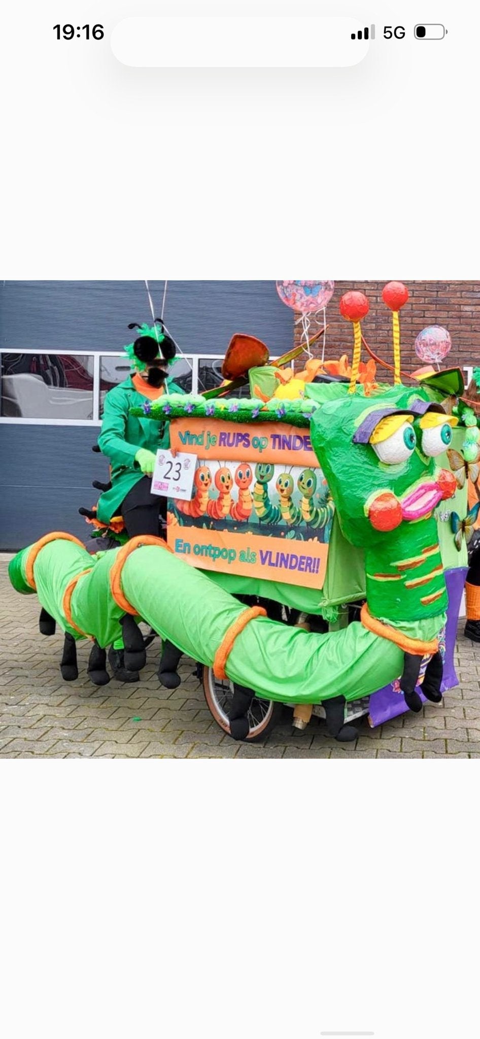 15 delig Carnavalskleding Rups en Vlinder (diverse maten), Ophalen, Carnaval, Maat 46/48 (XL) of groter, Kleding