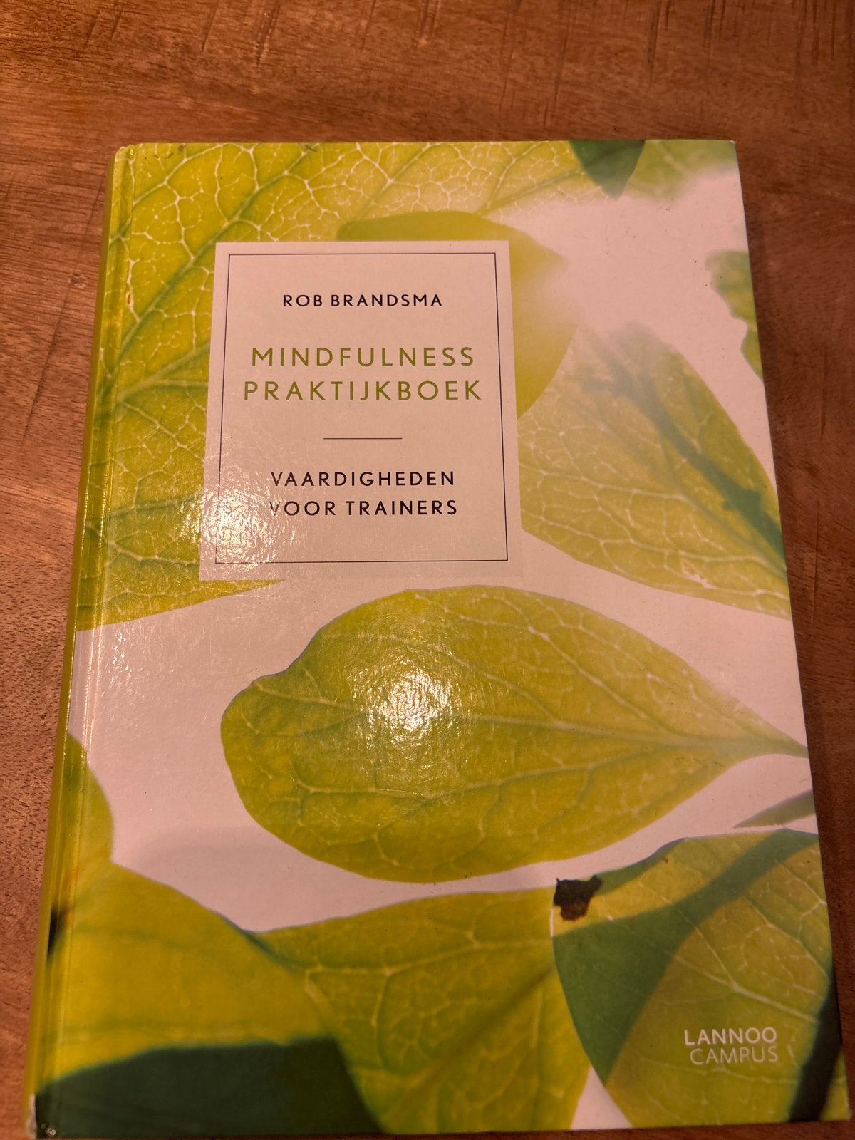 Mindfulness Praktijkboek - Rob Brandsma, Boeken, Advies, Hulp en Training, Zo goed als nieuw, Ophalen of Verzenden