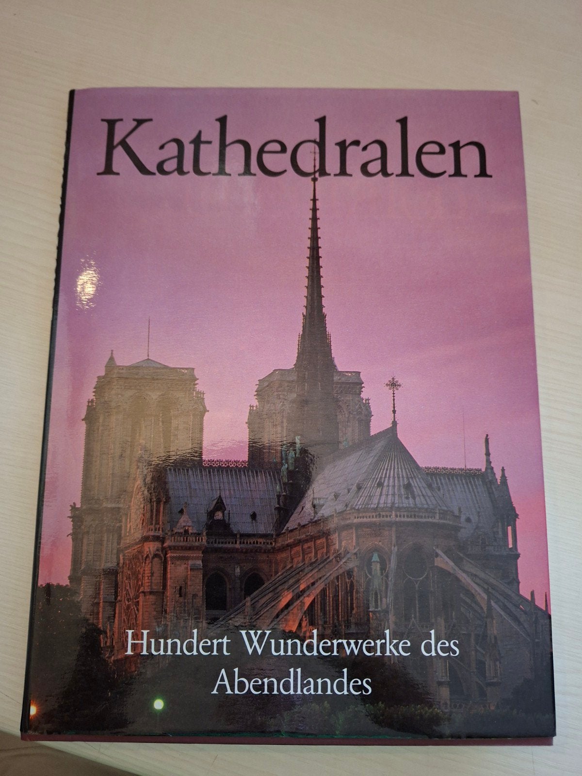 Kathedralen: Honderd Wonderwerken des Avondlandes, Ophalen of Verzenden, Zo goed als nieuw, Architectuur algemeen, Onbekend