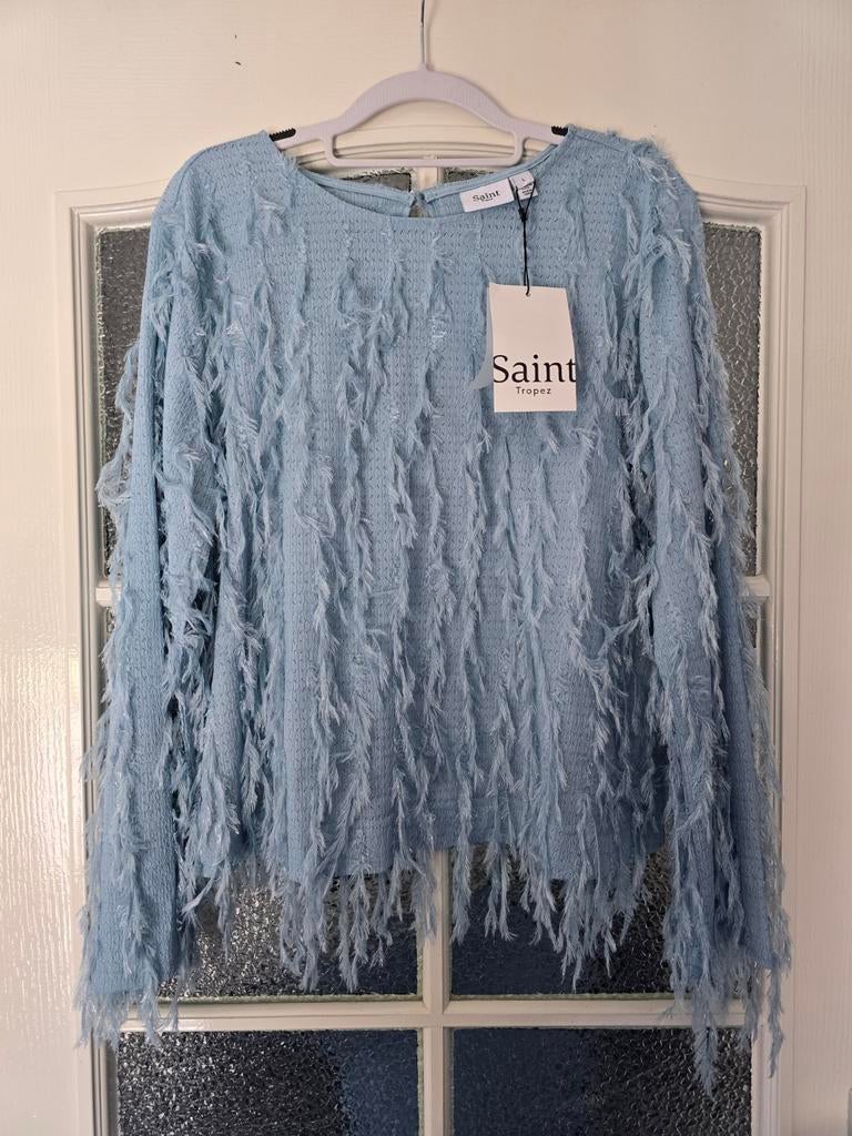 Nieuwe trui Saint L lichtblauw, Kleding | Dames, Grote Maten, Ophalen of Verzenden, Nieuw, Blauw, Trui of Vest
