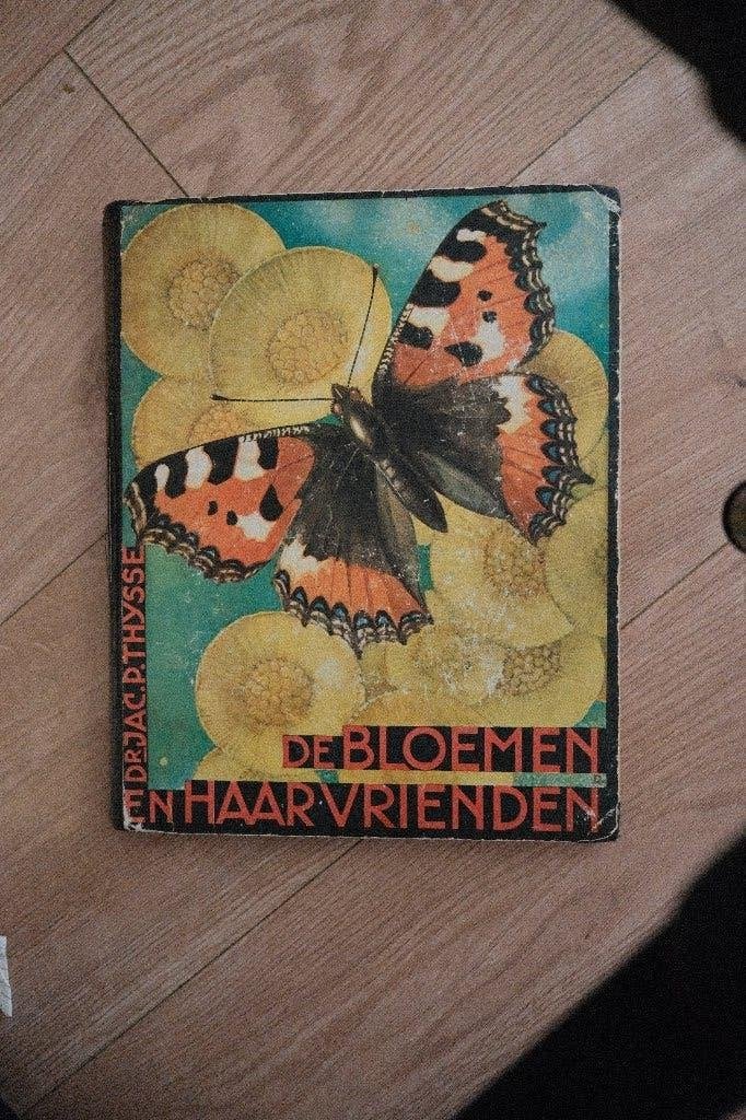 Verkade-album: De bloemen en haar vrienden, Boeken, Prentenboeken en Plaatjesalbums, Ophalen of Verzenden, Gelezen