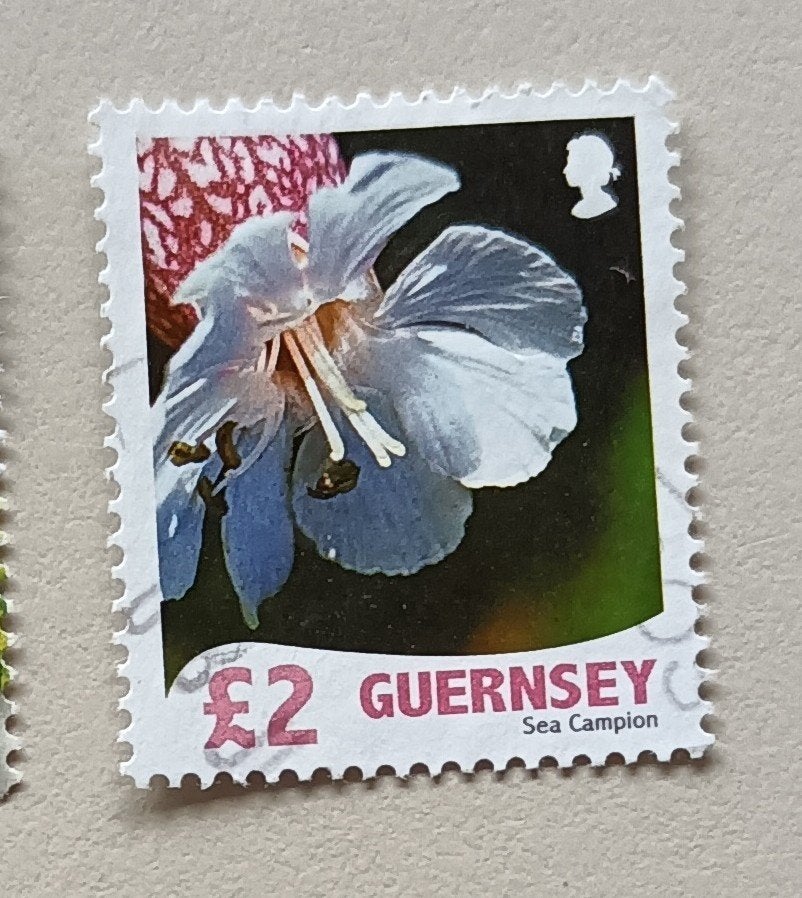Guernsey Sea Campion  gest, Ophalen of Verzenden, Overige landen, Gestempeld