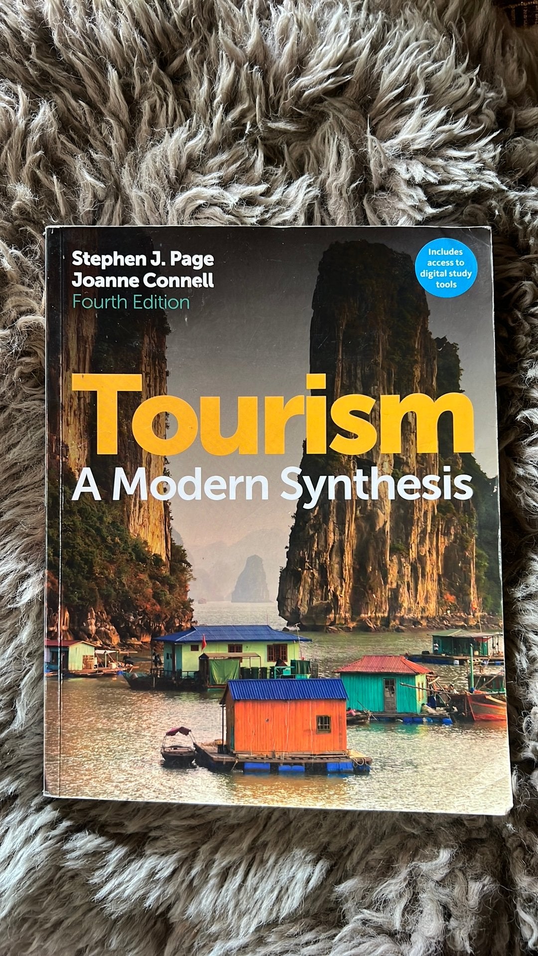 Tourism: A Modern Synthesis – Page & Connell | 4th Edition, Ophalen of Verzenden, Beta, Gelezen, HBO