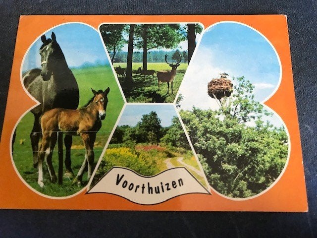 Voorthuizen, Ophalen of Verzenden, Voor 1920, Gelopen