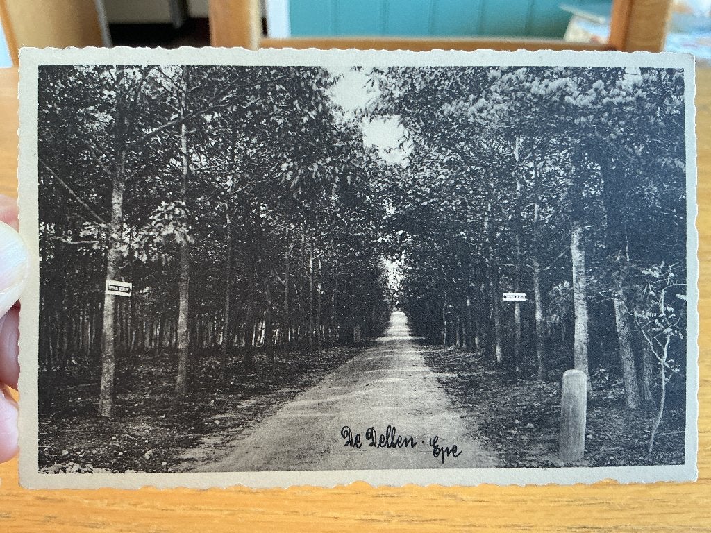 Epe de Dellen 1930, Verzenden, 1920 tot 1940, Gelopen, Gelderland