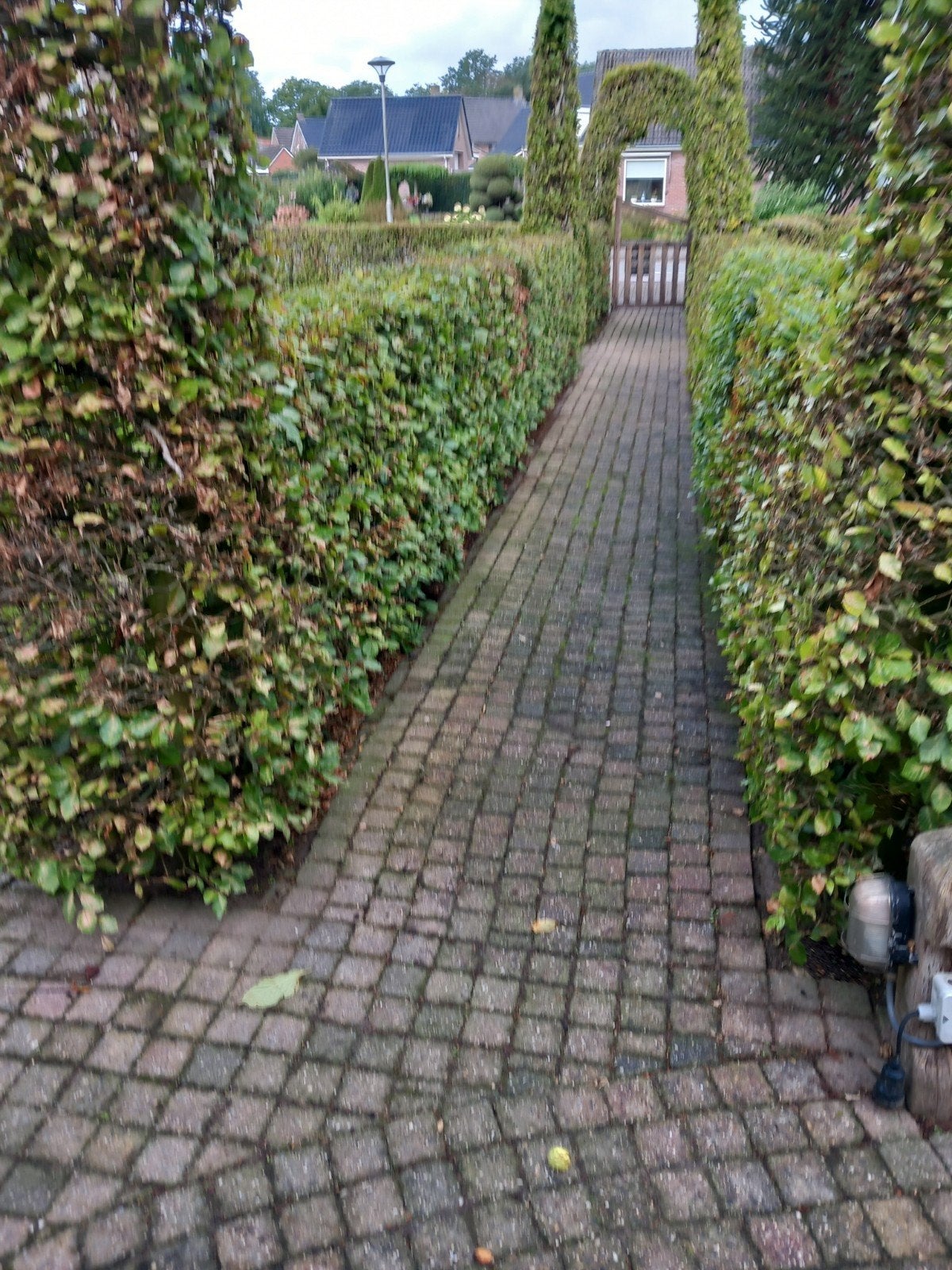 70m2 cobblestones, Ophalen, Gebruikt, 20 meter of meer, Overige typen