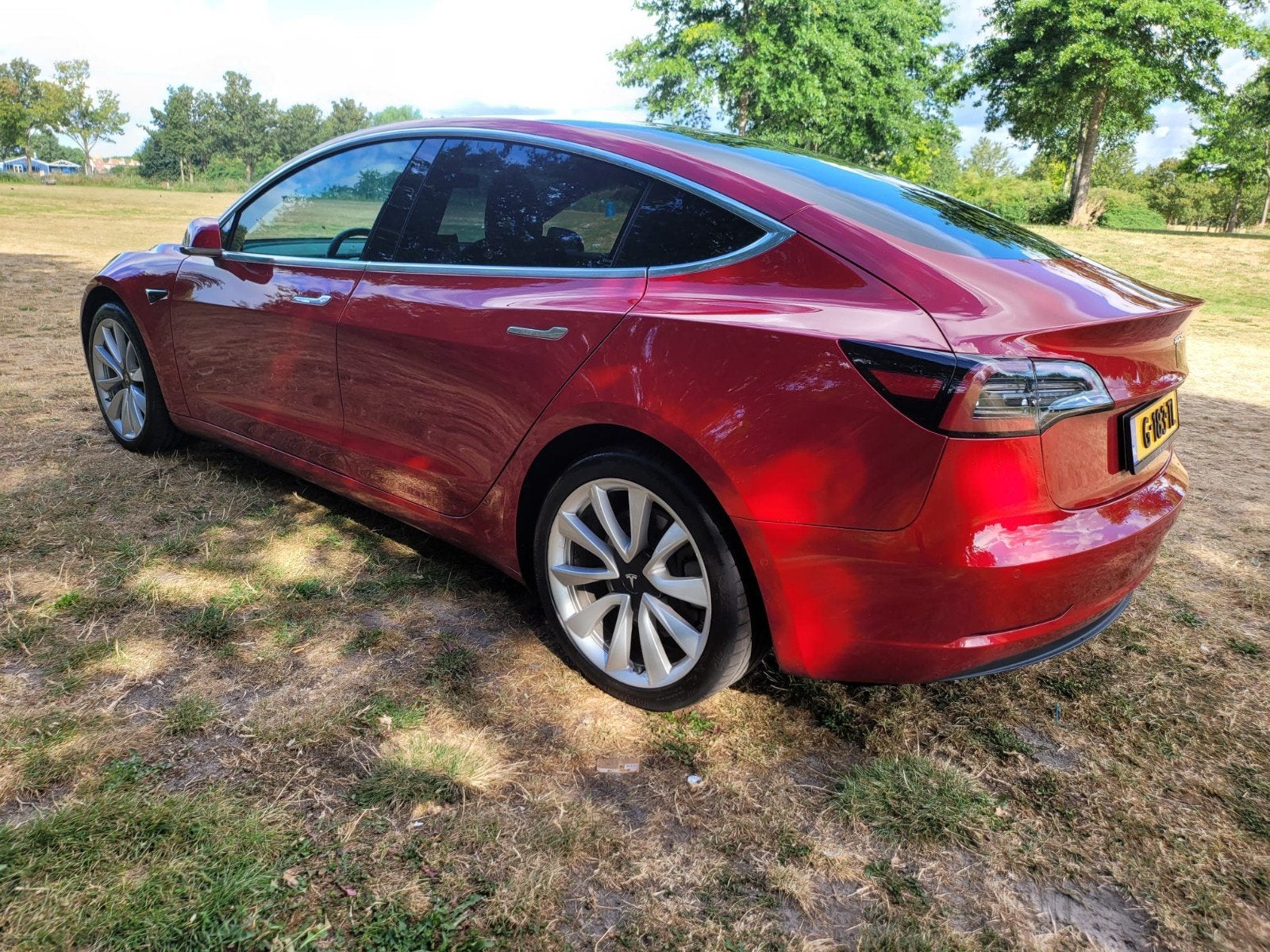 Tesla Model 3 Auto pilot cameleon org ned auto met nap